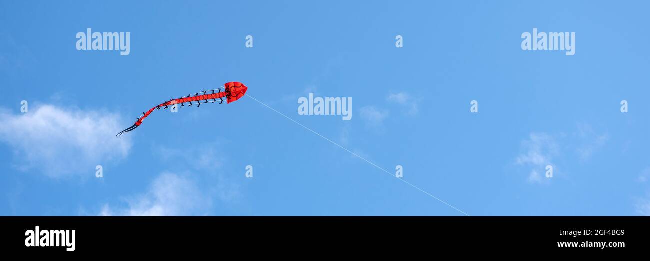 Flying kite. A multicolored kite is flying in the sky. Blue sky with