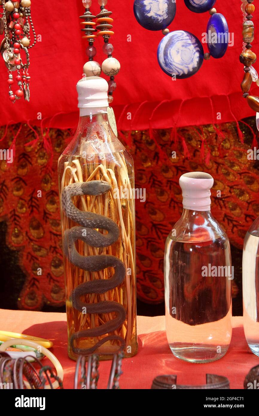 Rice wine with scorpions and snakes for sale, rice liquor, Luang