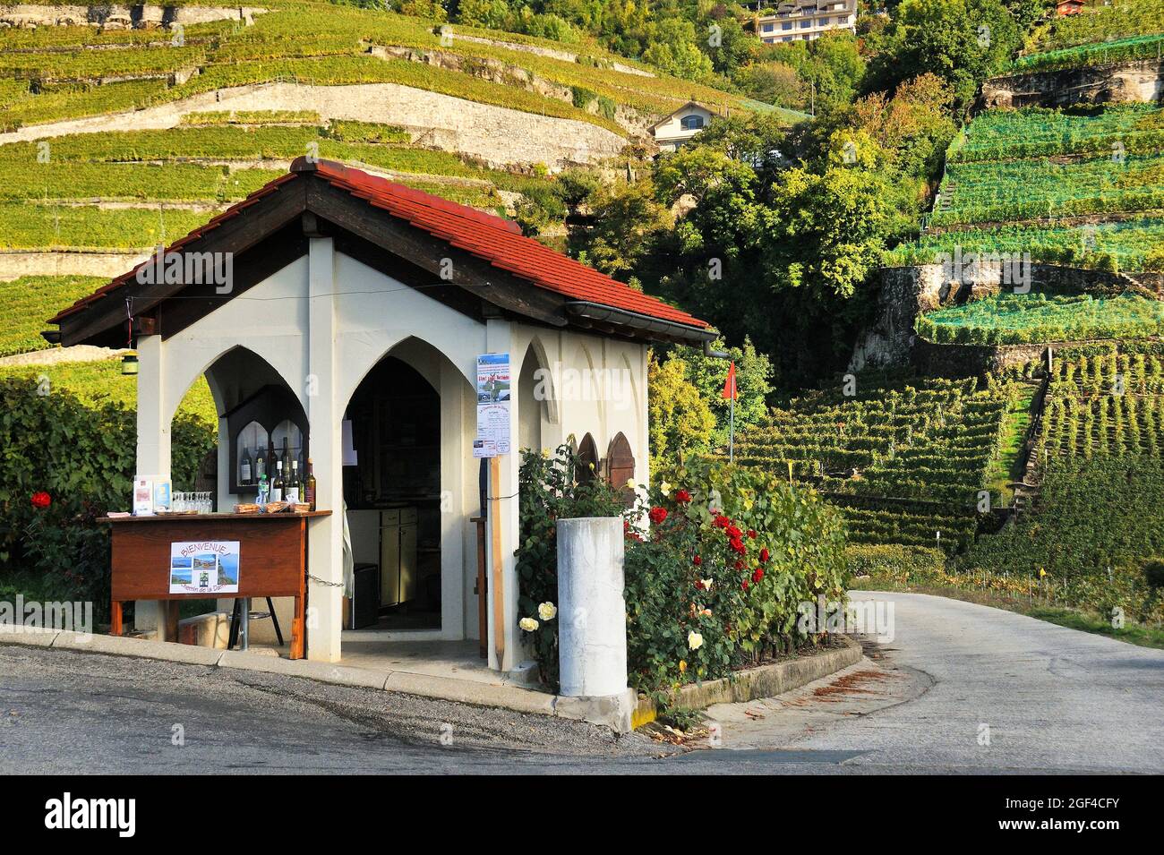 Cottage of a winegrower transformed into wine degustation and selling place in between vineyards of Lavaux near Chexbres, Lavaux vineyards on Stock Photo