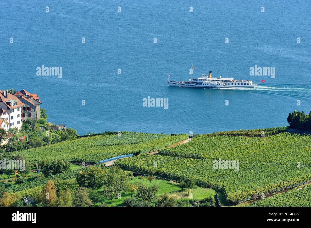 ´Vevey´ cruise steamboat passing Rivaz, Lavaux vineyards on terraces - UNESCO world heritage, Lake Geneva shore, Lac Leman, district of Lavaux-Oron, Stock Photo