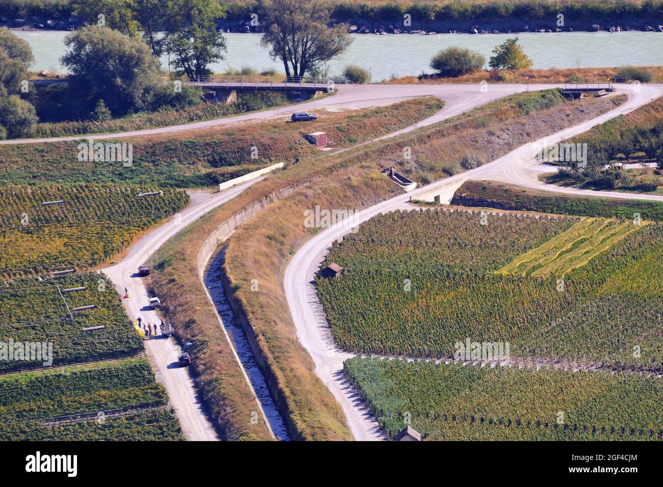 Harvest time in vineyards, view from above for vineyards and Bisse - irrigation ditch with water along the roadway, Bisses, only found in the Valais Stock Photo