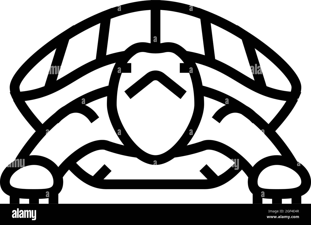 turtle tropical line icon vector illustration Stock Vector Image & Art ...