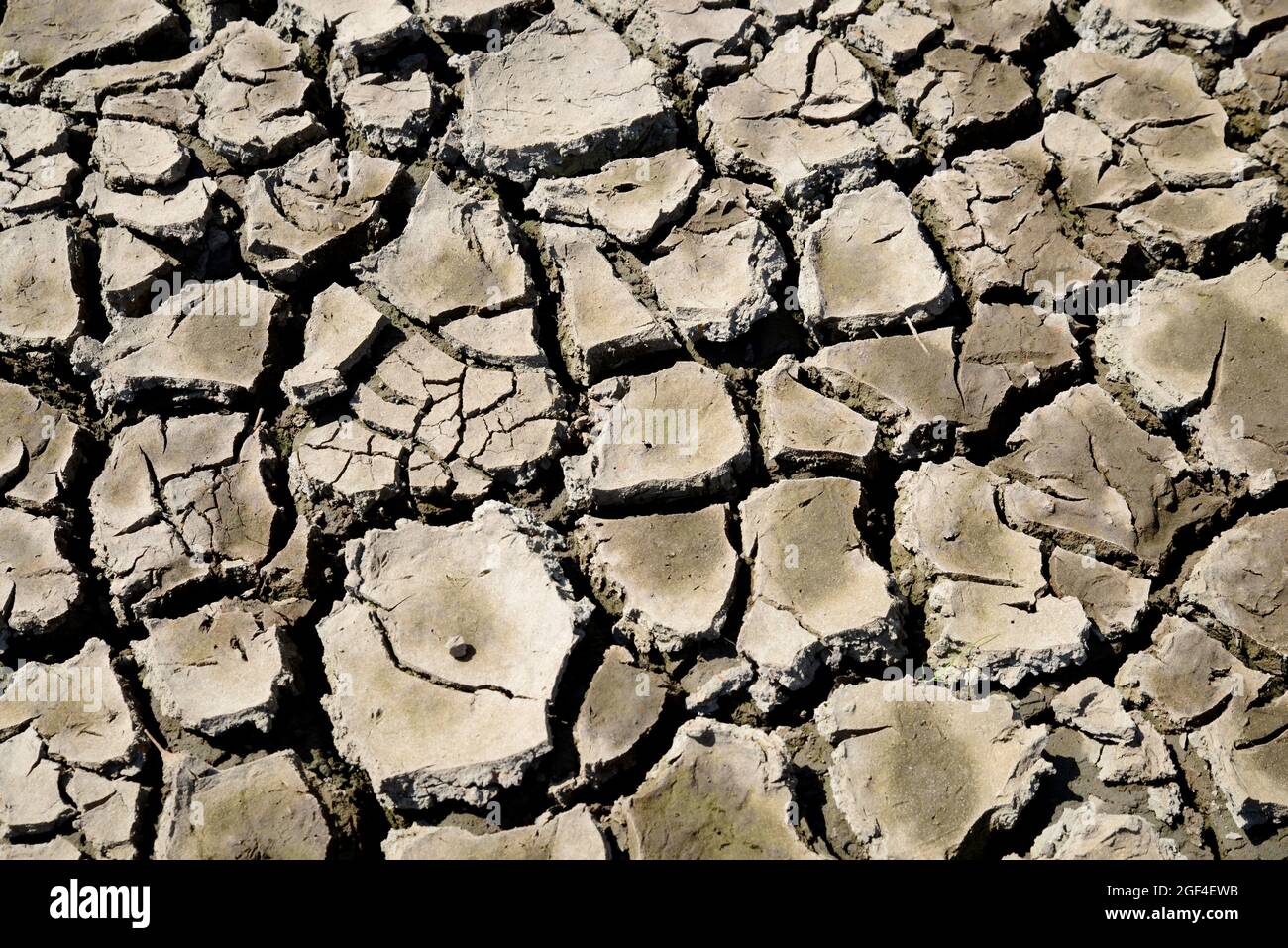 Floor cracked texture hi-res stock photography and images - Alamy