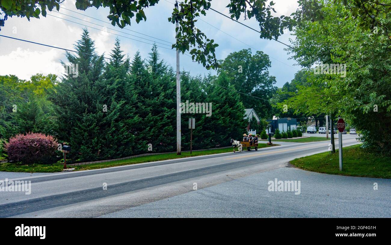 Wheel of a buggy hi-res stock photography and images - Alamy
