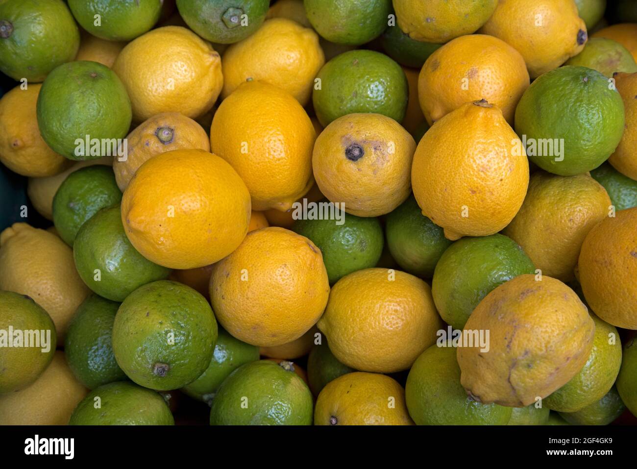 Organic lemons and limes at a farmer's market in Edinburgh, Scotland, Uk.. Stock Photo