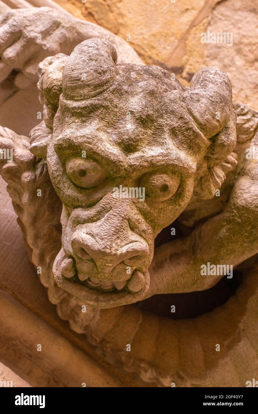 Gargoyles, stone statues, attached, buildings, decoration, waterspouts, rainwater flow, carved, solid stone, granite, ornamental, artistic function. Stock Photo