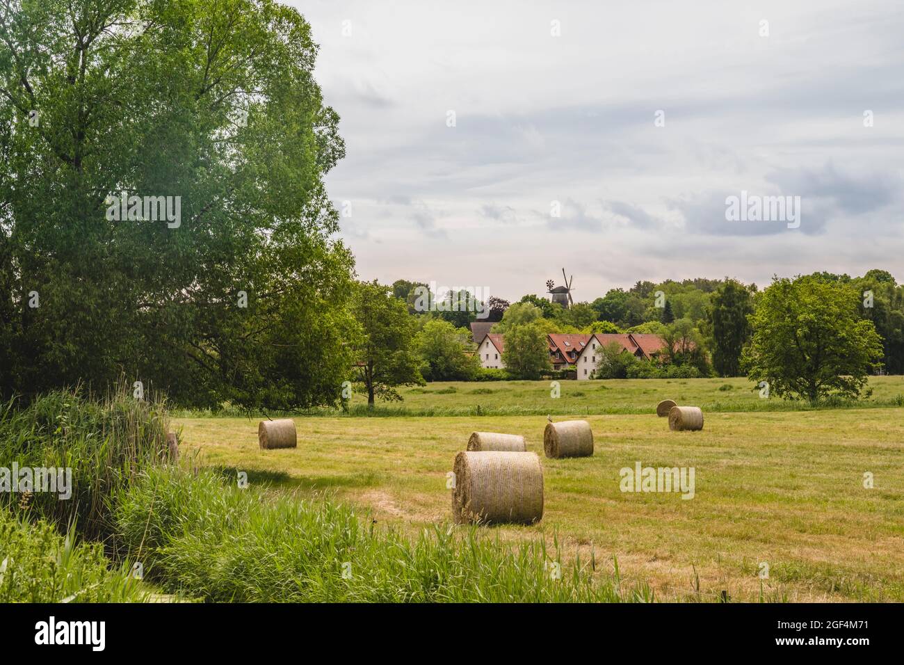 Hay bales drying in summer field Stock Photo - Alamy