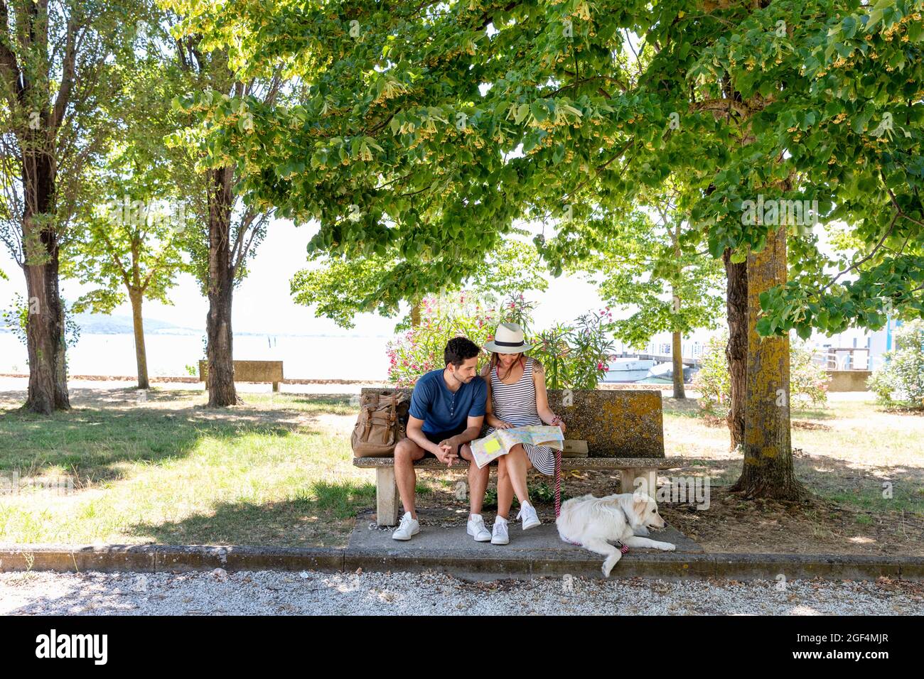 Tourist couple checking map while sitting on bench Stock Photo - Alamy