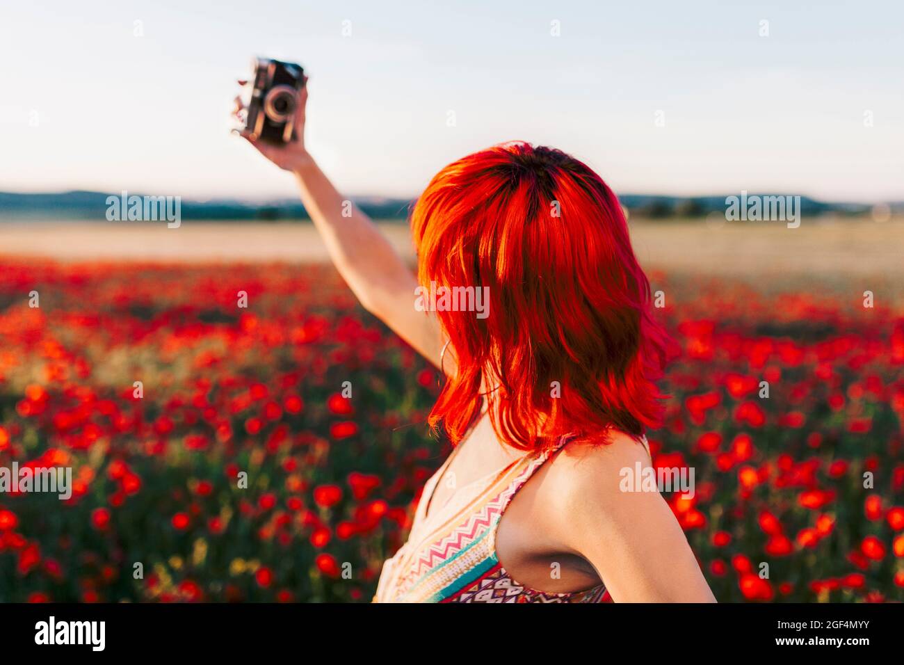Woman taking selfie through camera at poppy field Stock Photo