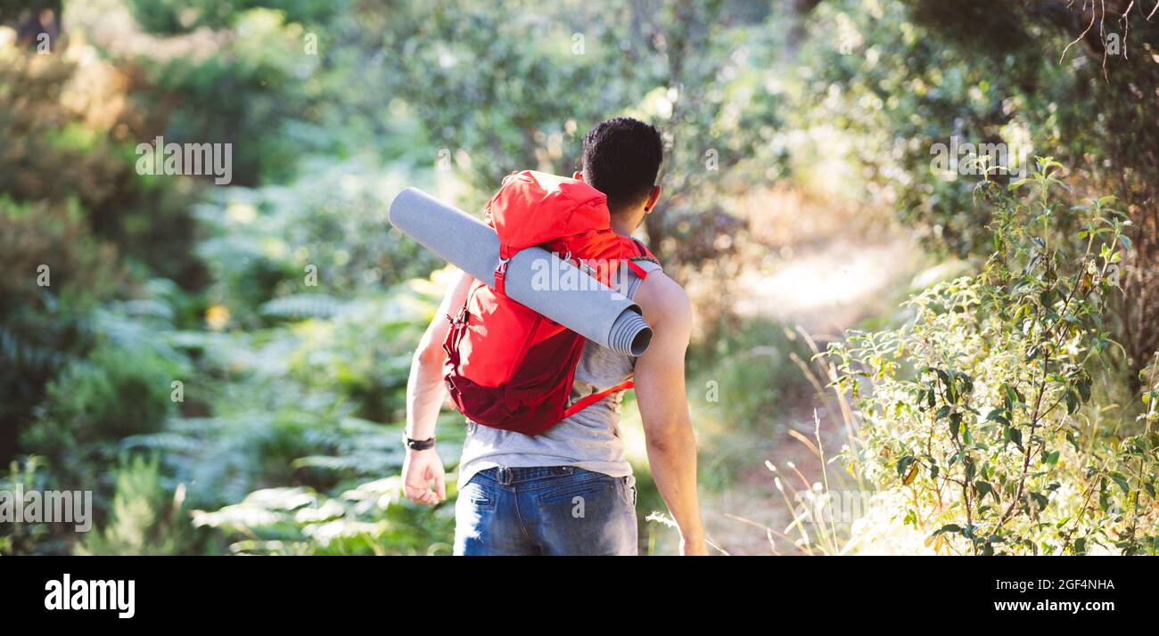 Male backpacker exploring forest Stock Photo
