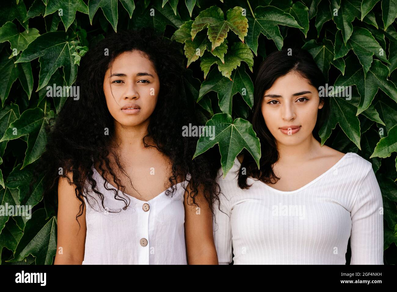Multi-ethnic female friends near plants Stock Photo