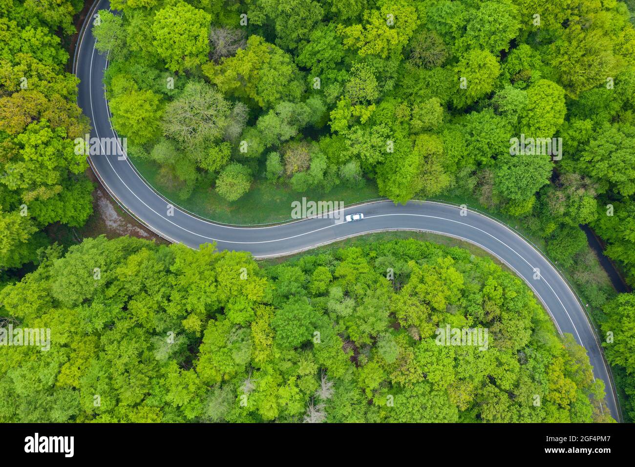 Aerial view of asphalt road winding through green springtime forest ...