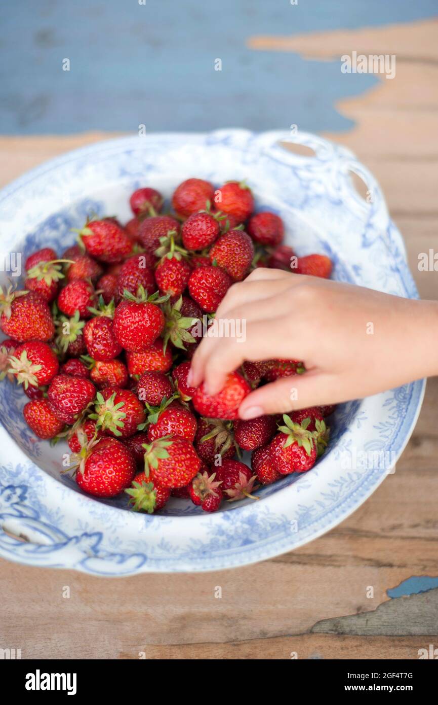 Girl picking up fresh red strawberries from plate Stock Photo - Alamy