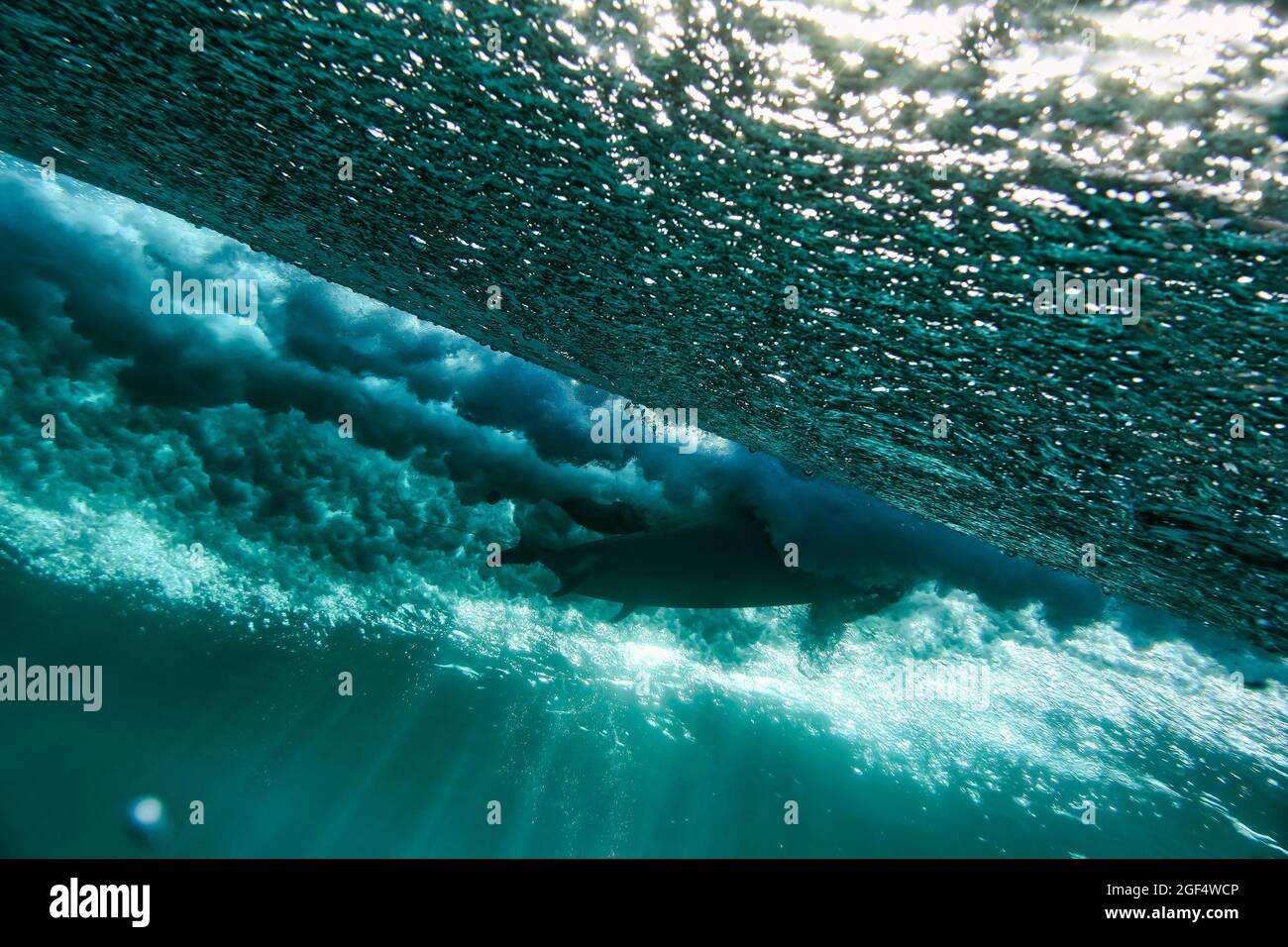Underwater view of young man surfing in turquoise waters of South Male Atoll Stock Photo
