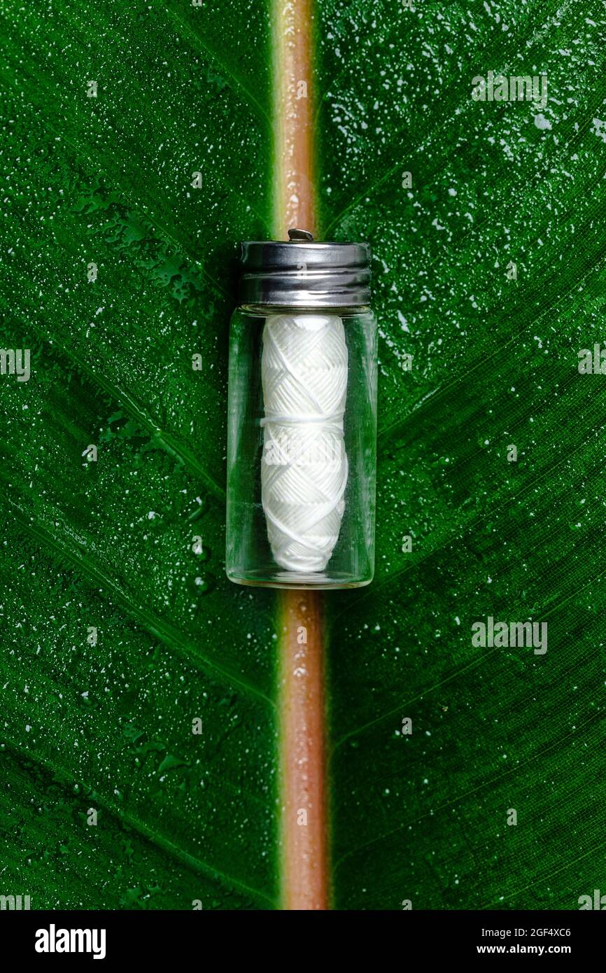 Biodegradable dental floss lying on green leaf Stock Photo Alamy