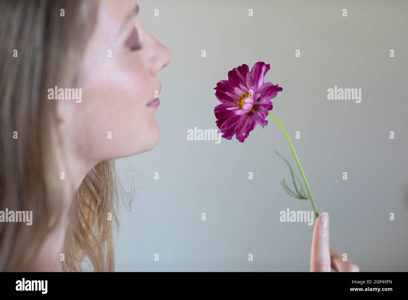 Young woman with eyes closed smelling daisy flower Stock Photo - Alamy