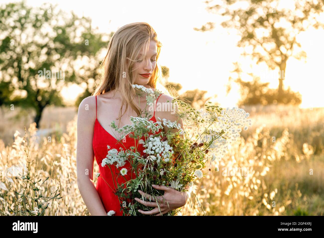 Beautiful woman in red dress holding flowers in field Stock Photo - Alamy
