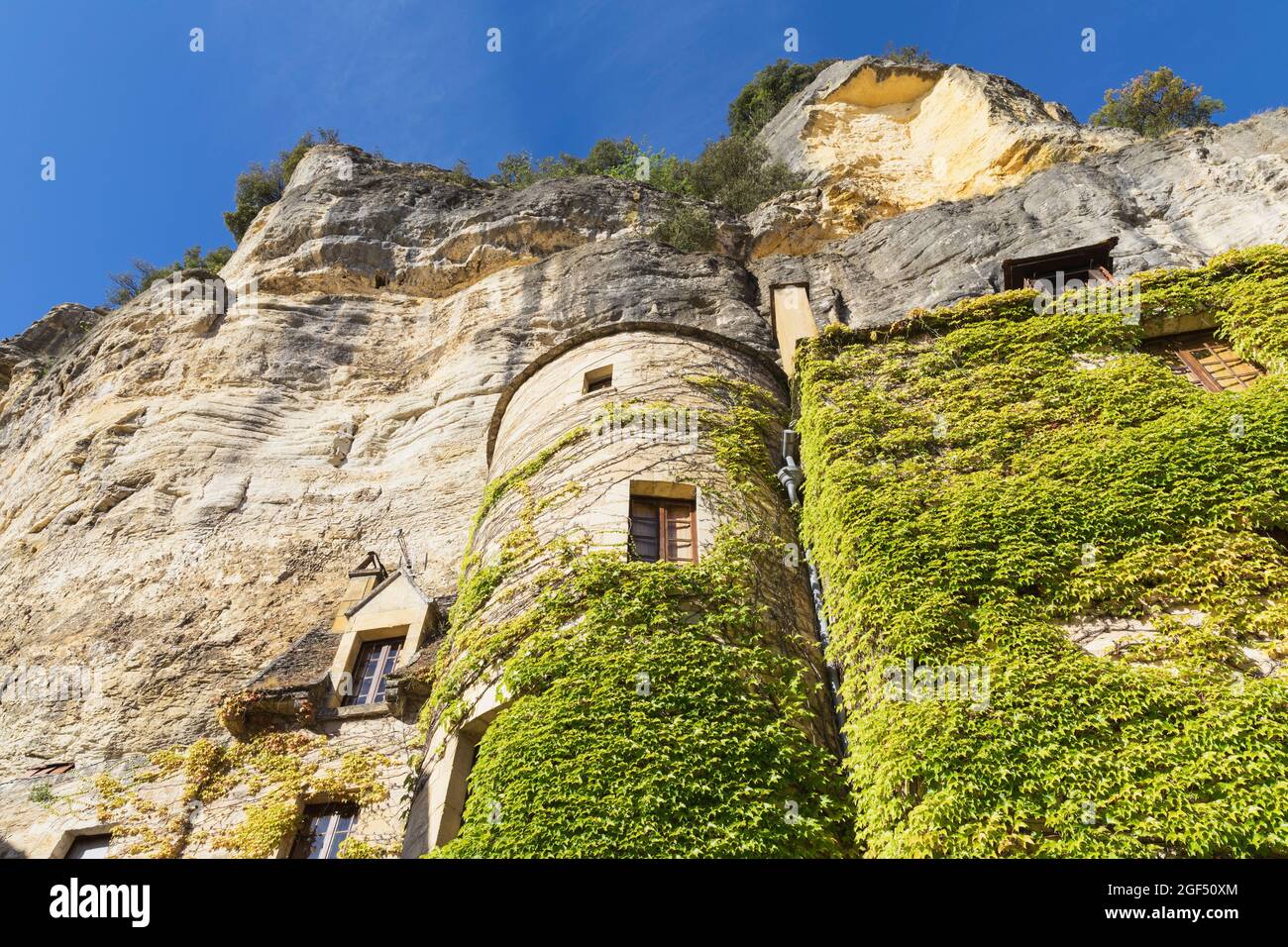 France, Dordogne, La RoqueGageac, Ivy overgrowing cliffside house