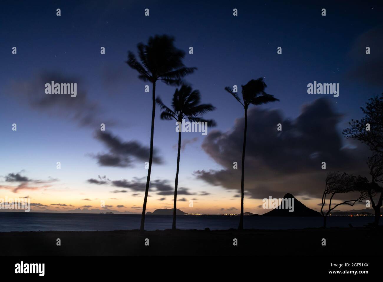 Spectacular sunrise near Kualoa Ranch, Kualoa Regional Park, with silhouetted palm trees and Mokoli'i Island (previously known as the outdated term 'Chinaman's Hat') Island (Mokoli'i), Oahu, Hawaii, USA Stock Photo
