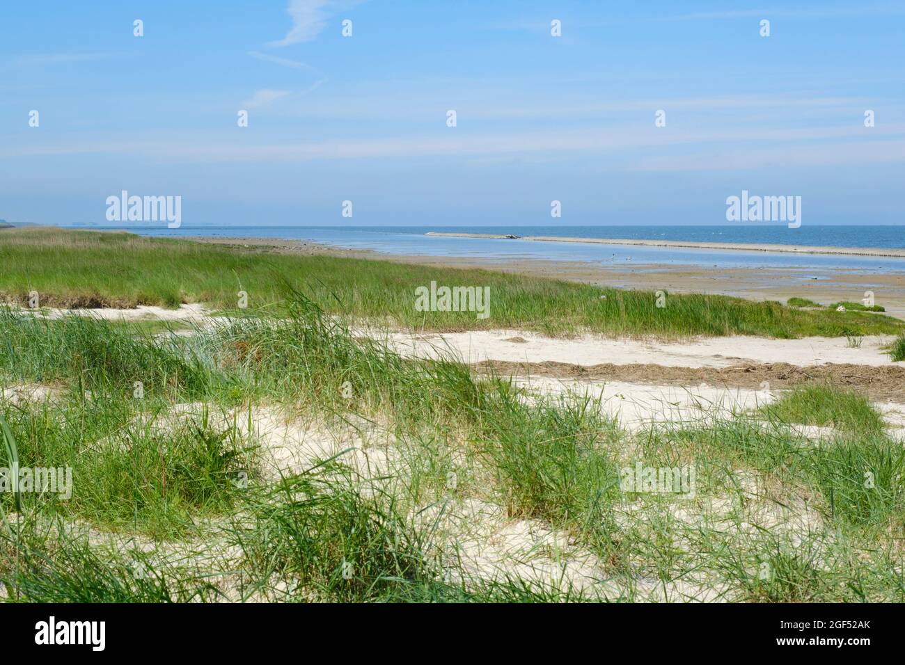 Grassy coastal beach at Wadden Sea National Parks Stock Photo