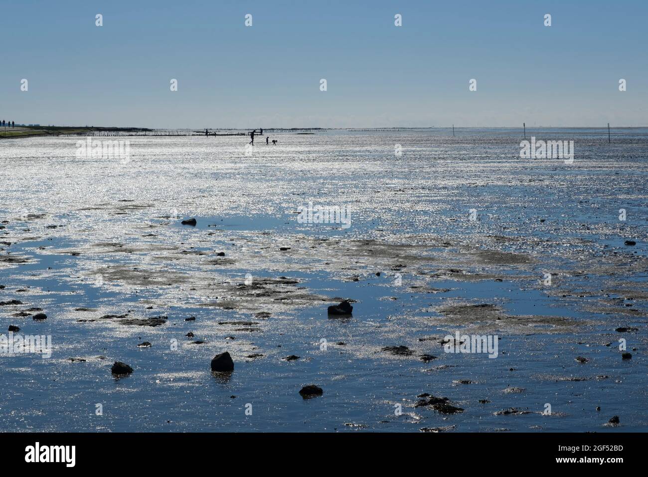 Low tide at Wadden Sea National Parks Stock Photo