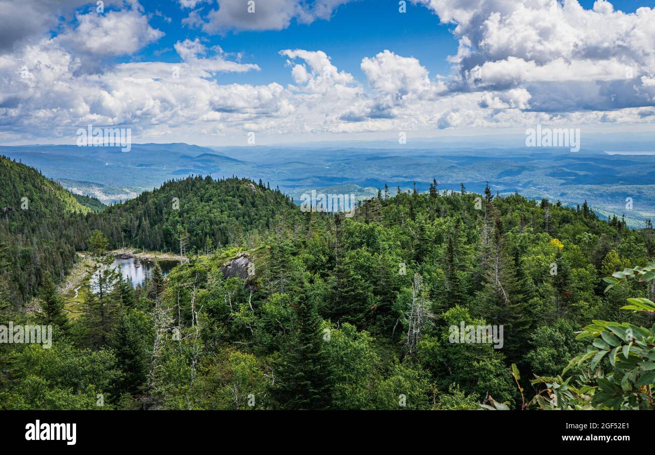 View on Saguenay on a summer day from the top of Pic de la Hutte, a peak located in Monts Valin National Park (Quebec, Canada) Stock Photo