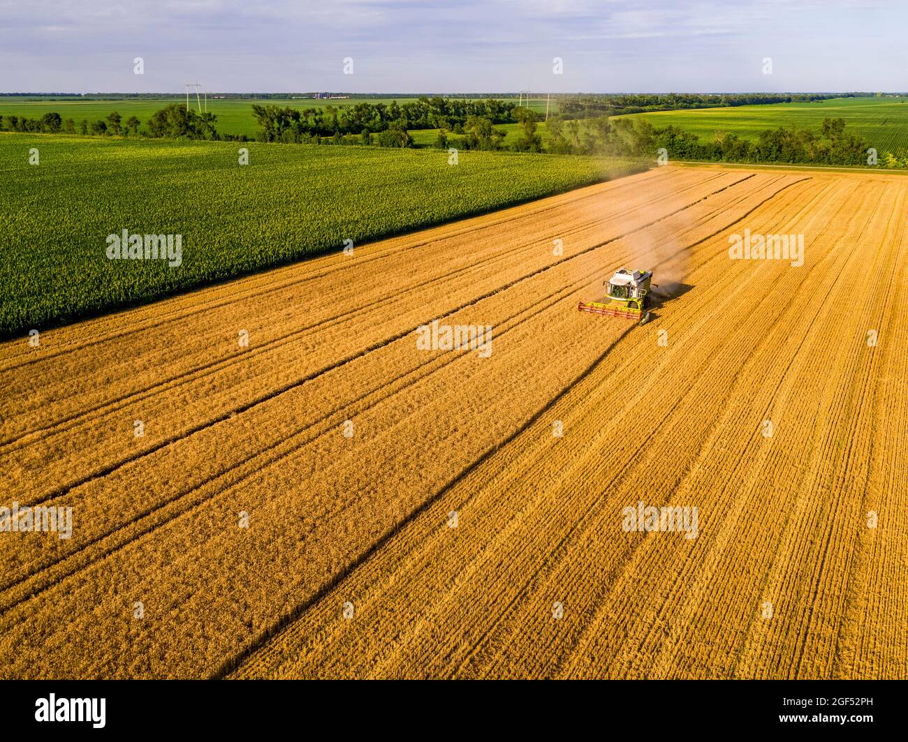 Drone view of combine harvester in wheat field Stock Photo - Alamy