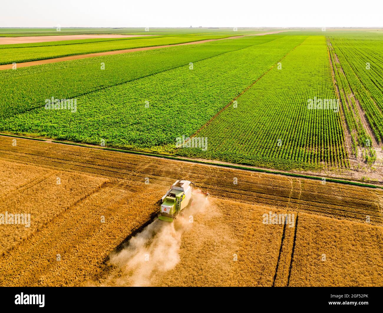 Drone view of combine harvester in wheat field Stock Photo - Alamy
