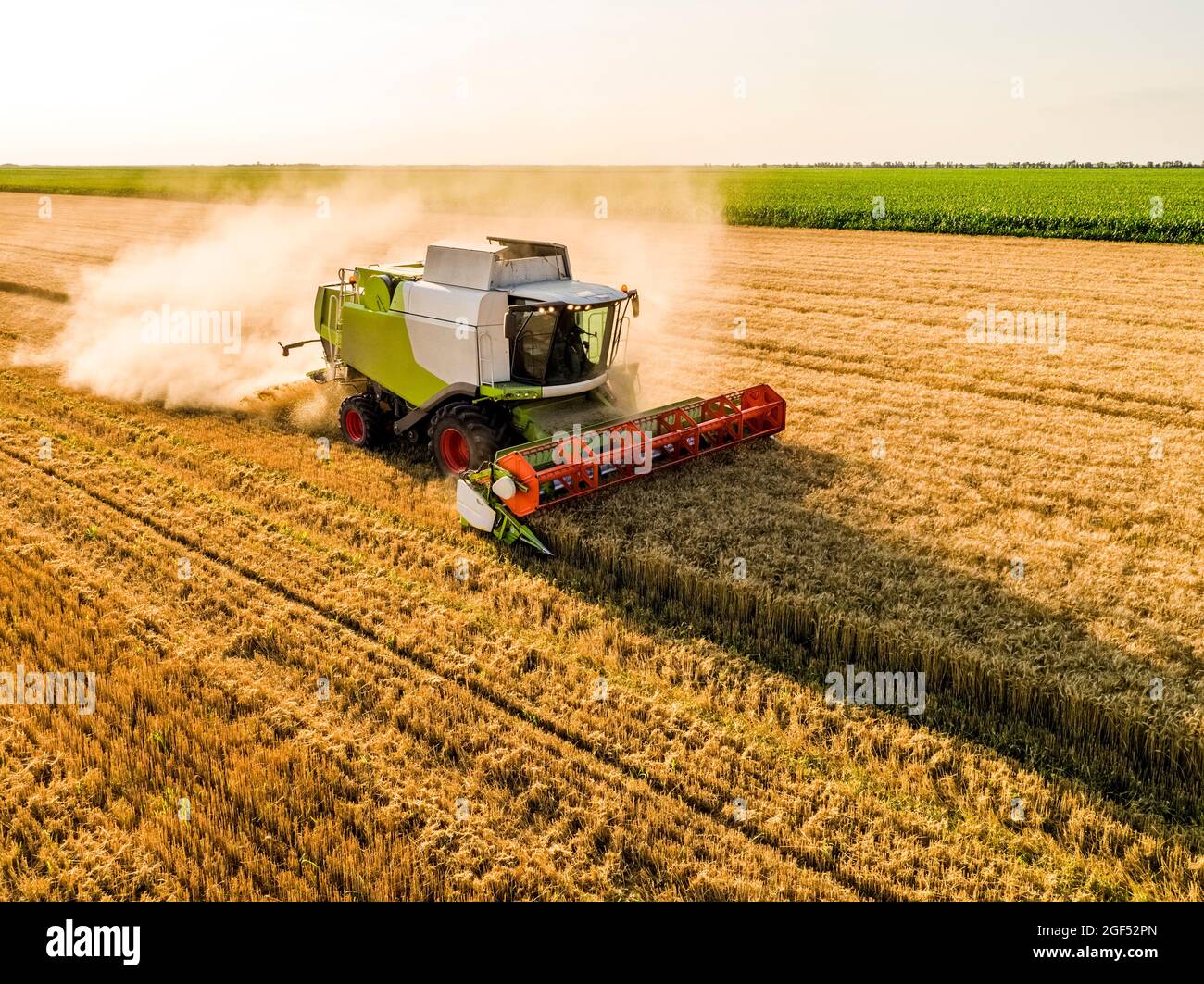 Drone view of combine harvester in wheat field Stock Photo - Alamy