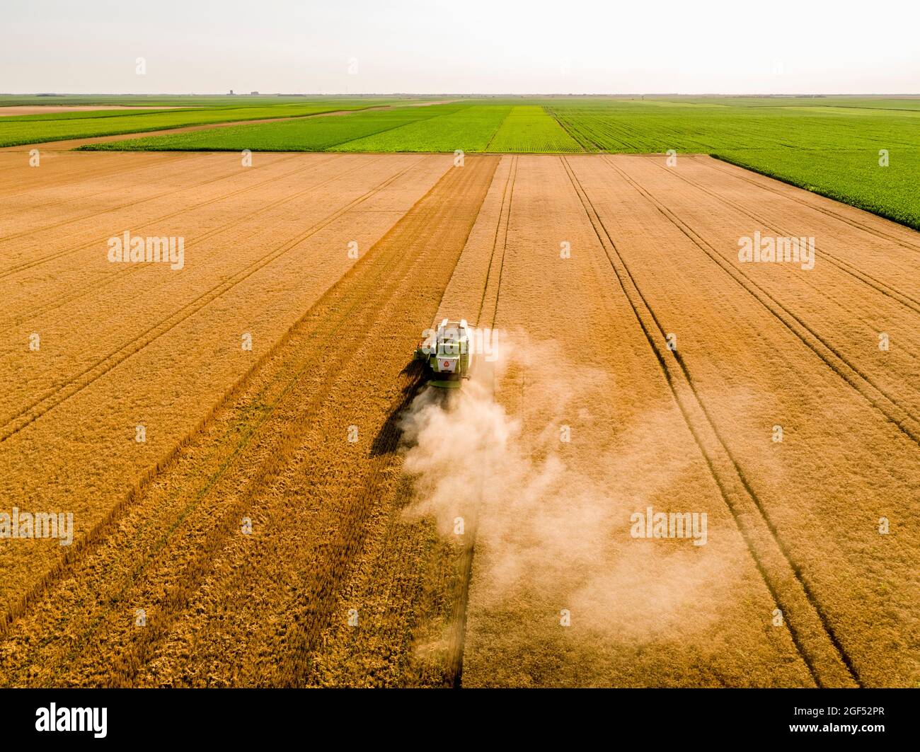 Drone view of combine harvester in wheat field Stock Photo - Alamy