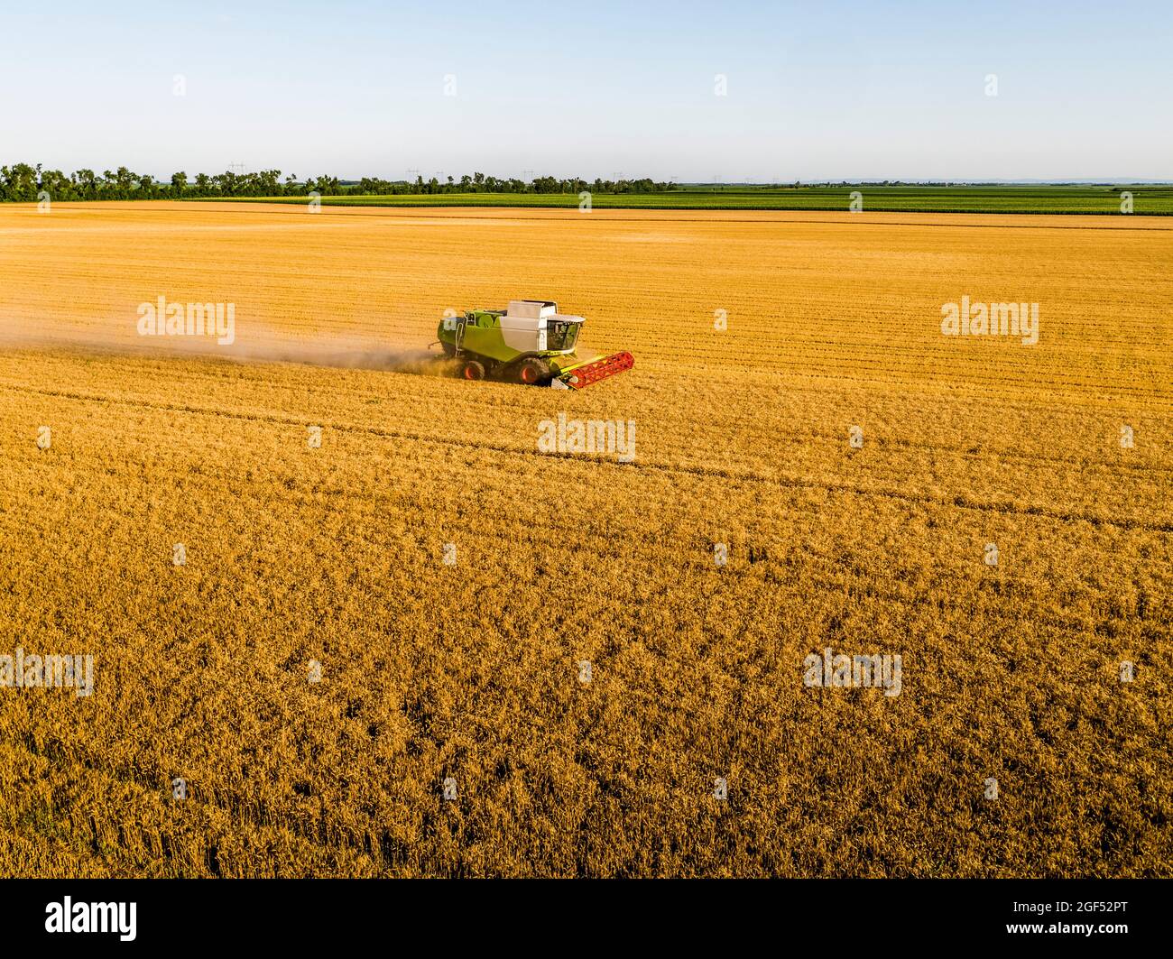 Drone view of combine harvester in wheat field Stock Photo - Alamy