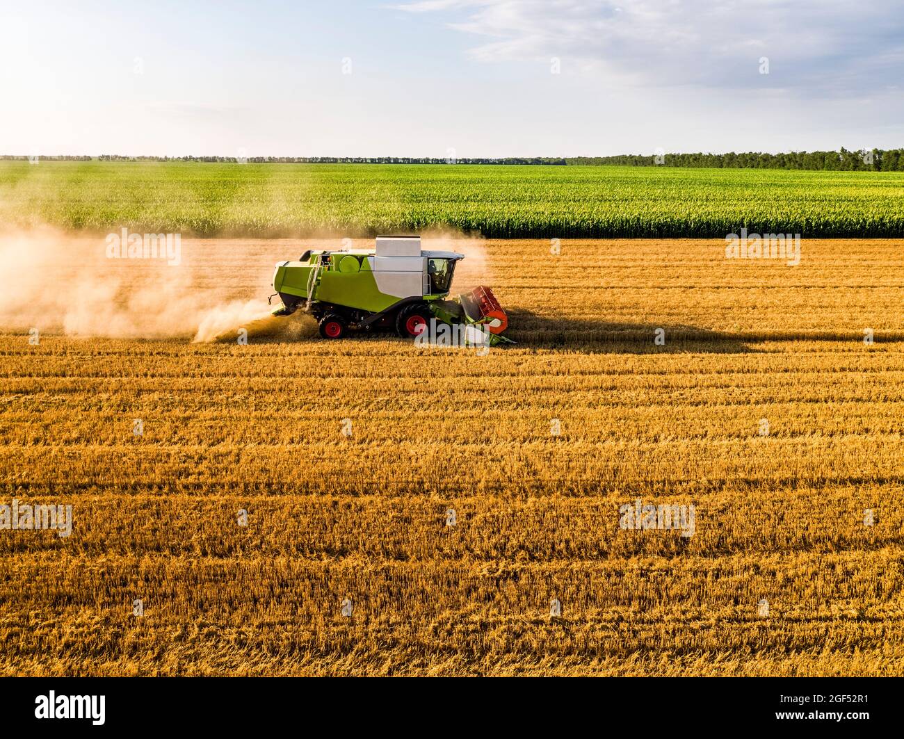 Drone view of combine harvester in wheat field Stock Photo - Alamy