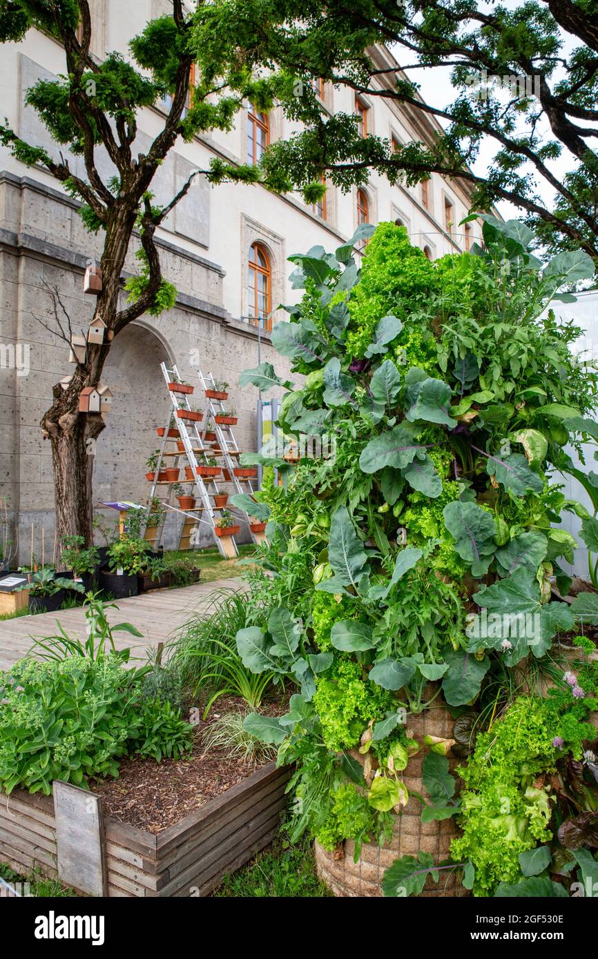Vegetables growing in urban garden Stock Photo Alamy