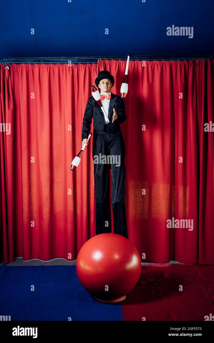 Male artist juggling pins while standing on stilts at circus Stock
