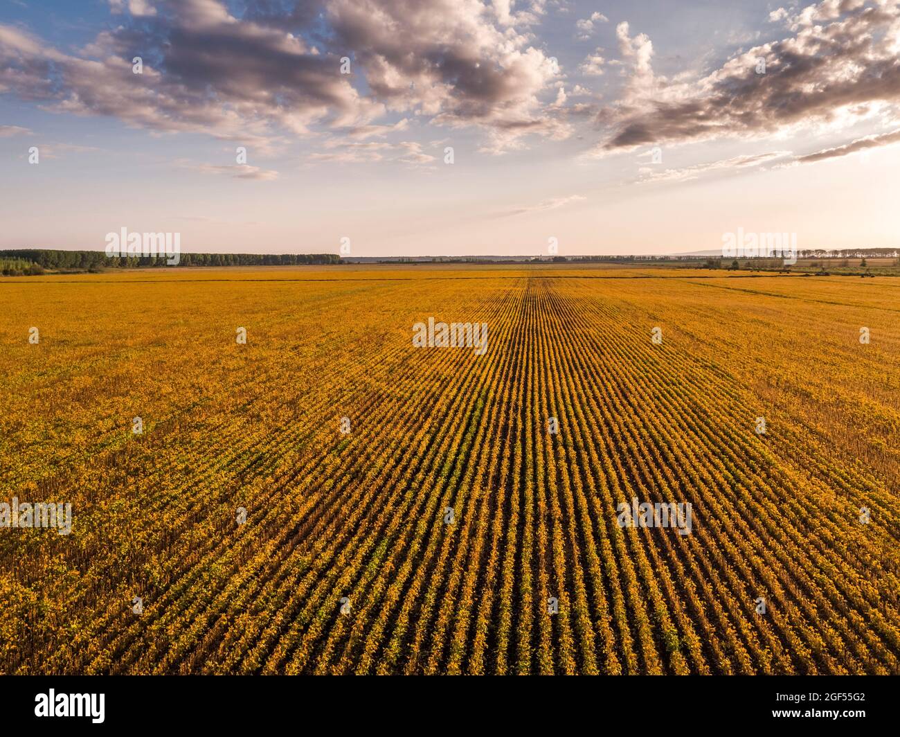 Panorama of Titel City in Vojvodina, Serbia. Editorial Stock Photo - Image  of modern, blue: 189351918