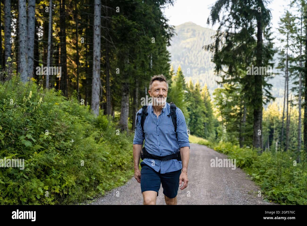 Man with backpack walking on road amidst trees Stock Photo - Alamy