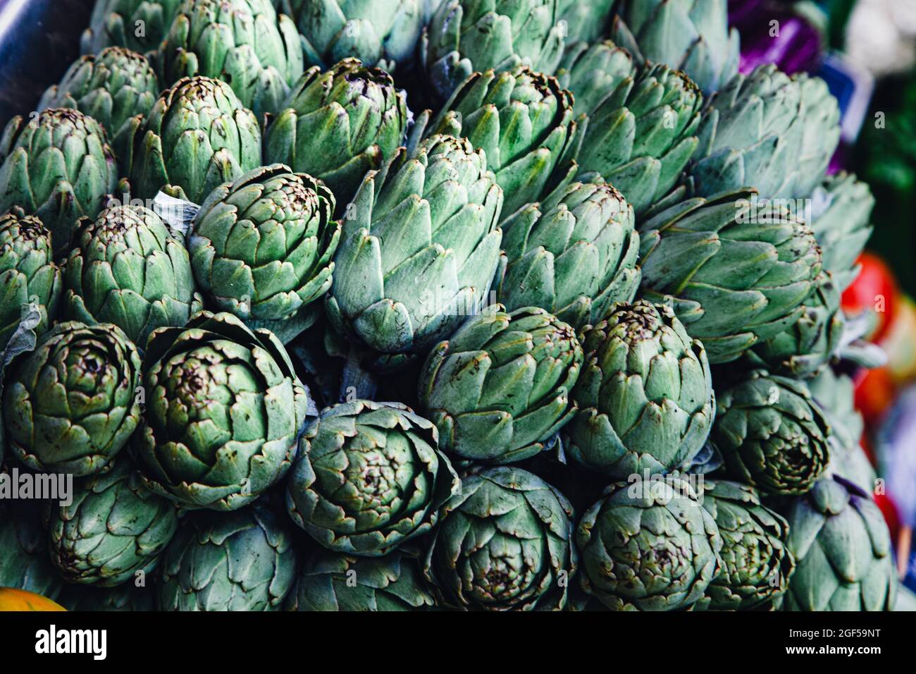 fresh green Globe or French Artichokes piled and ready at the market. Cynara Cardunculus var. Scolymus. Stock Photo