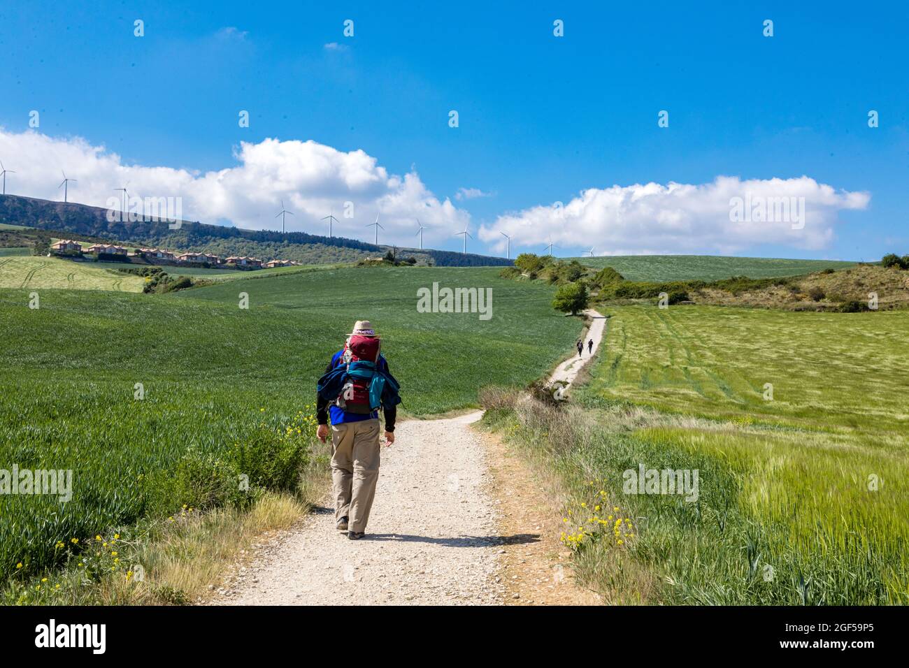 pilgrim walker, along the Camino to Santiago de Compostela, Navarrete Spain Stock Photo Alamy