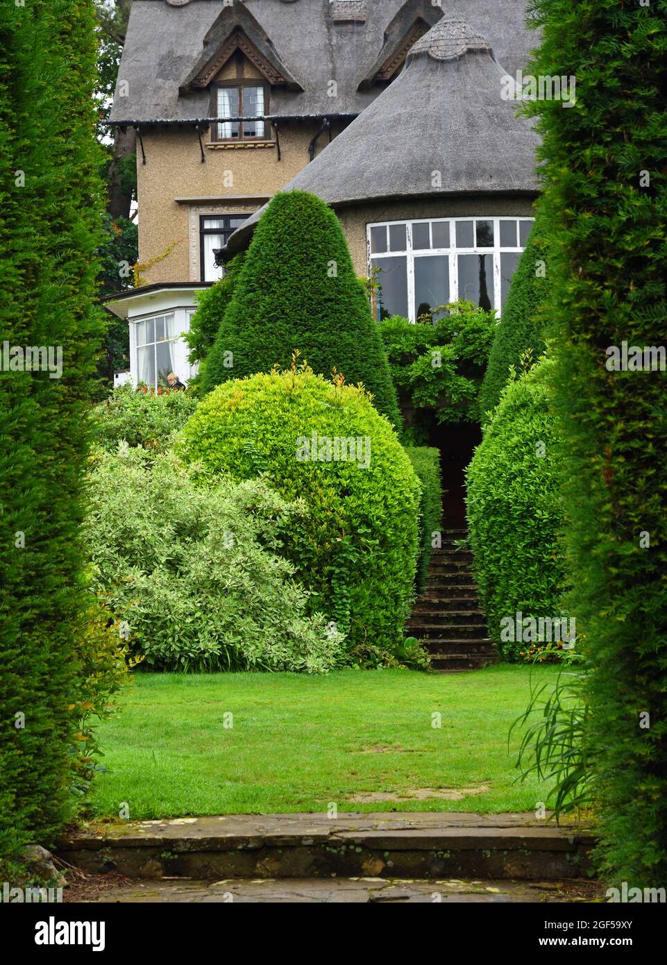 Garden with mature shrubs and steps framed by hedge with thatched house  in background. Stock Photo