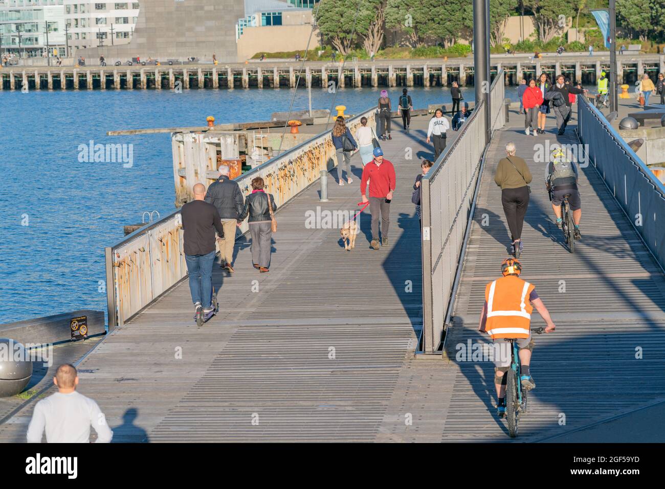 Wellington New Zealand - July 30 2021; People walking to and fro along the  Great Harbour Way also a portion of Te Araroa Trail over length of country  Stock Photo - Alamy