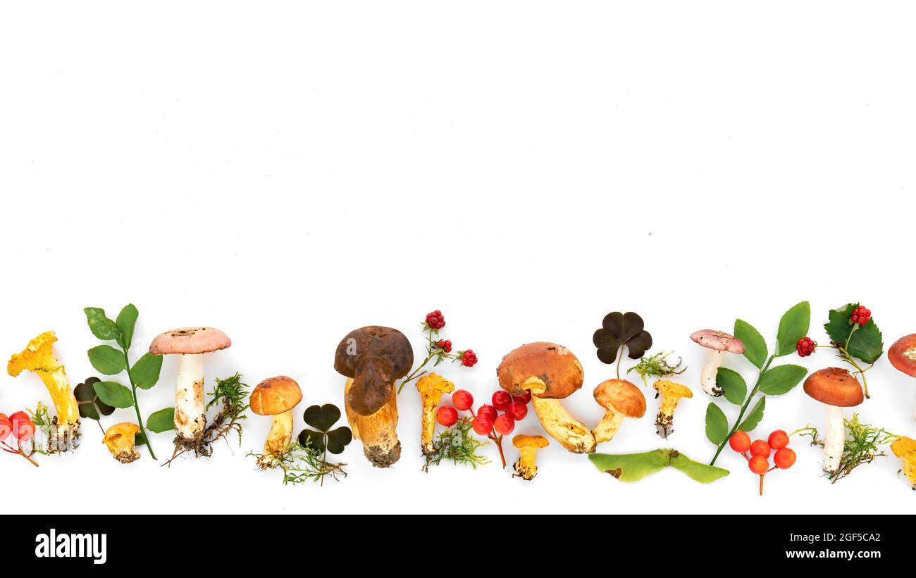 Border design template Cut Out Stock Images & Pictures Alamy