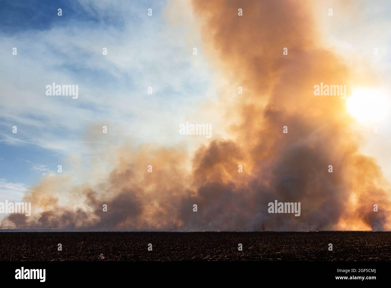 A wide angle of an agricultural field on fire, agriculture and farming field burning, wildfire smoke filling the sky at sunset, daytime Stock Photo