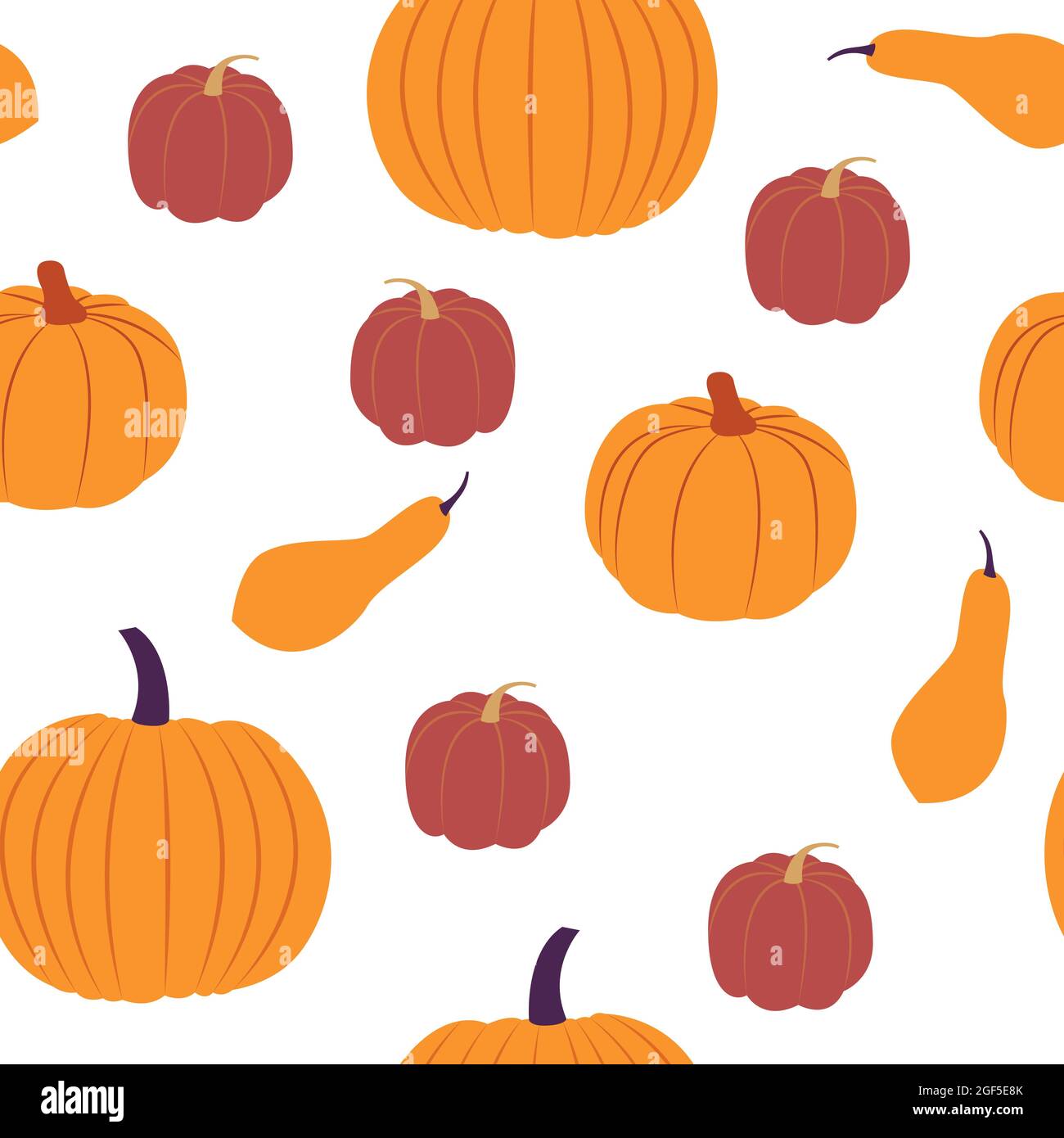Vector seamless pattern with squash. Flat design Stock Vector