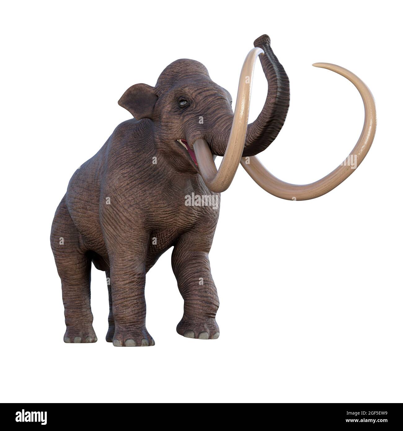 Columbian Mammoth Trumpeting - Columbian Mammoth was an elephant that lived in the Pleistocene Period of North America. Stock Photo