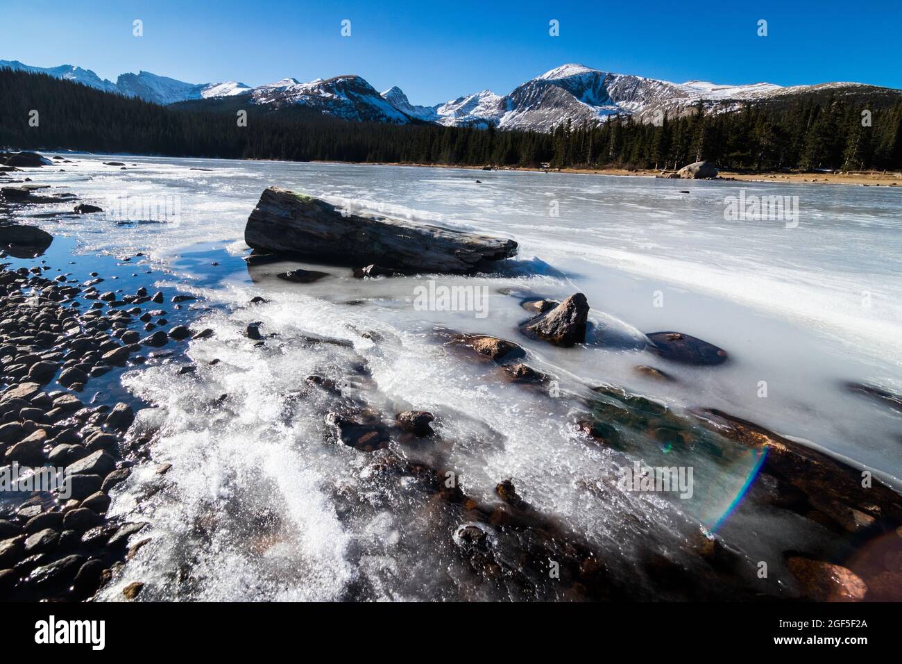 A wide angle landscape shot of a frozen lake with a log and rocks in it with mountains and a pine tree line in the background in winter in Colorado Stock Photo