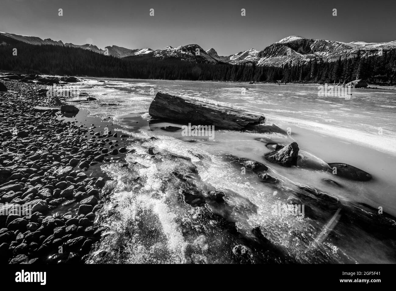 A wide angle landscape shot of a frozen lake with a log and rocks in it with mountains and a pine tree line in the background in winter in Colorado Stock Photo