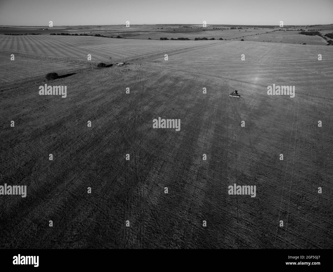 Aerial View of sown field in the Argentine countryside, Pampas province, Patagonia, Argentina. Stock Photo