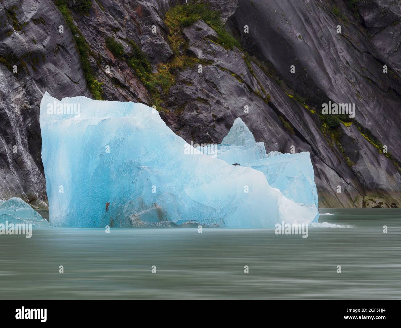 Dawes Glacier iceberg, Endicott Arm, Alaska, USA Stock Photo