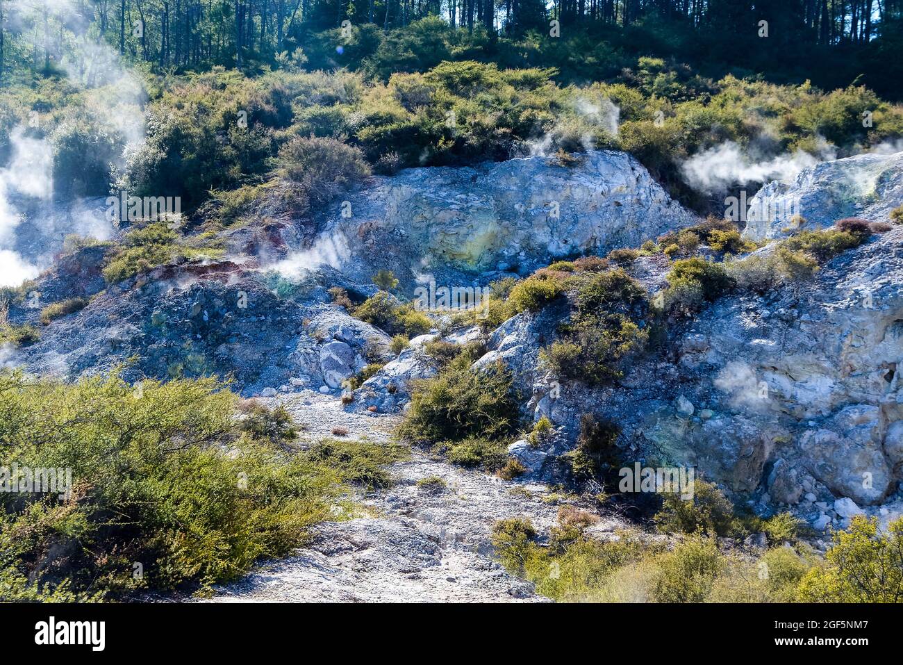 Geothermal Landscape with hot boiling mud and sulphur springs due to ...
