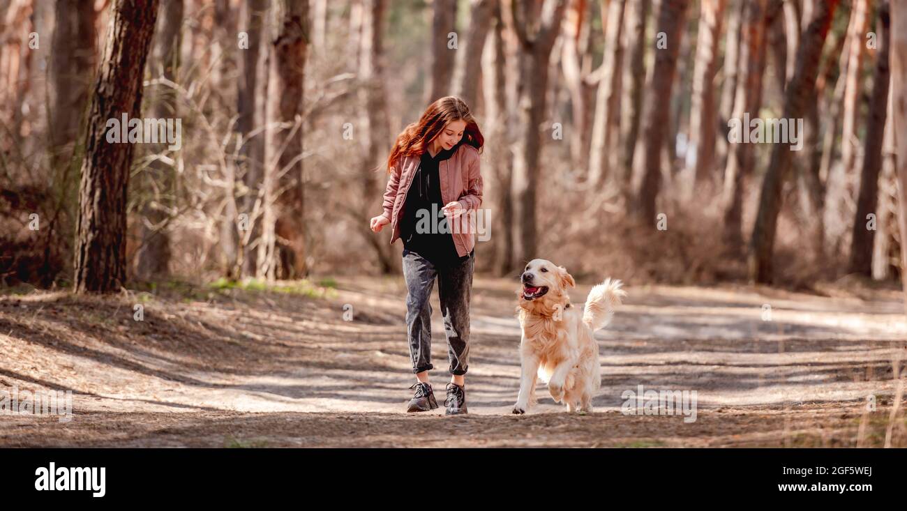 Girl with golden retriever dog in the wood Stock Photo - Alamy